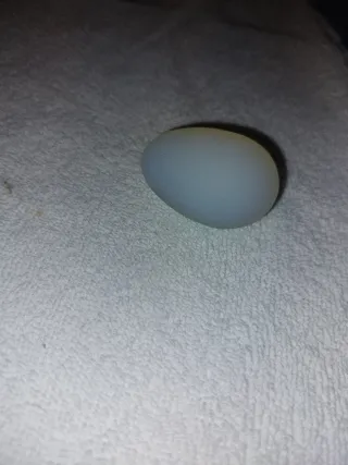 Huevo decorativo 5cm