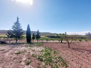 Casa rural en venta en Mula