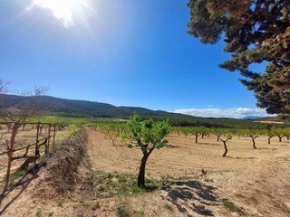 Casa rural en venta en Mula