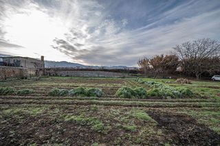 Terreno en venta en Zubia (La)