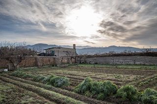 Terreno en venta en Zubia (La)