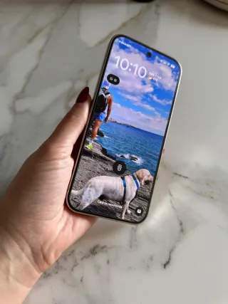 Google Pixel 10 Pro 256GB Verde/Dorado