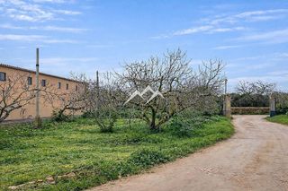 Local comercial en alquiler en Llucmajor Interior en Llucmajor