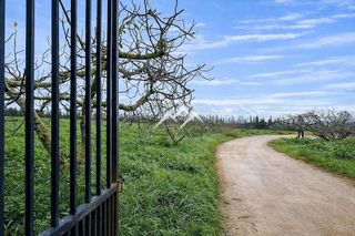 Local comercial en alquiler en Llucmajor Interior en Llucmajor