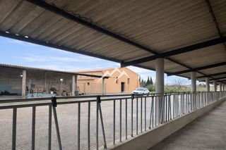 Local comercial en alquiler en Llucmajor Interior en Llucmajor