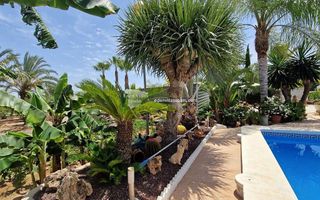 Chalet en venta en El Pla de Sant Josep - L'Asil en Elche