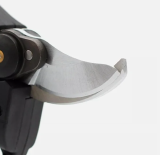 Forbici Elettriche + Motosega Giardino