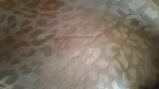 Vestido negro estampado