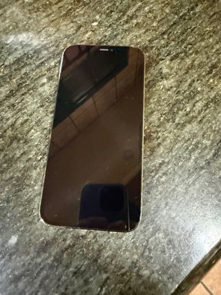 iPhone 12 Pro Max Plata