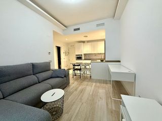 Piso en alquiler en Ciudad Jardín en Madrid