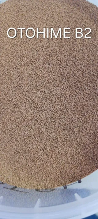 OTOHIME B2