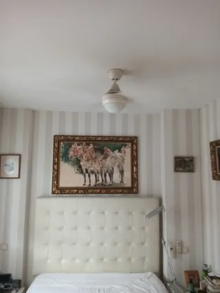 Lámpara ventilador de techo