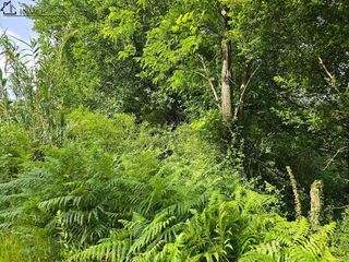 Terreno en venta en Centro - Echegaray en Pontevedra