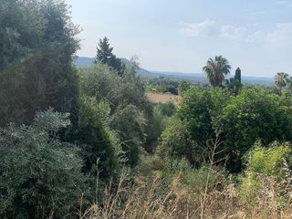 Terreno en venta en Son Amonda - Reis Catòlics en Inca