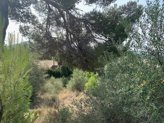 Terreno en venta en Son Amonda - Reis Catòlics en Inca