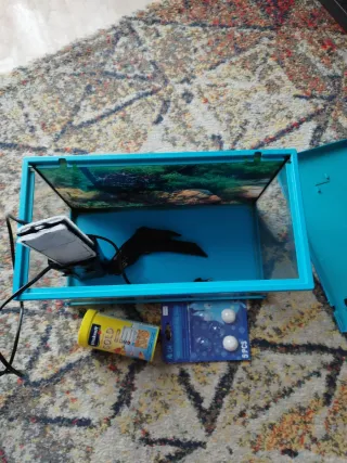 Acuario/ pecera