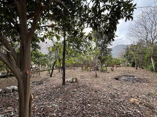 Terreno en venta en Sóller