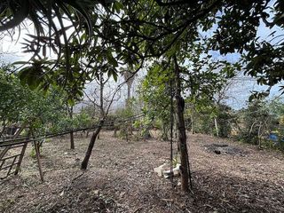 Terreno en venta en Sóller