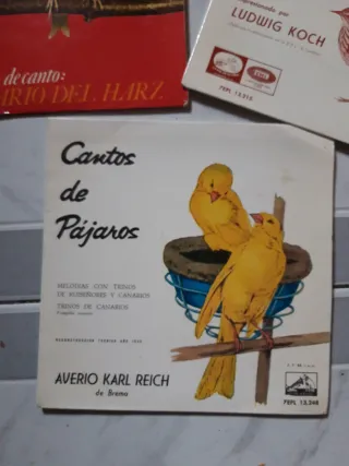 Vinilos Cantos de Pájaros Canarios