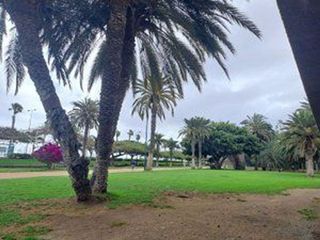 Piso en alquiler en Ciudad Jardín en Palmas de Gran Canaria(Las)
