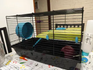 Kit Hamster Jaula y Accesorios