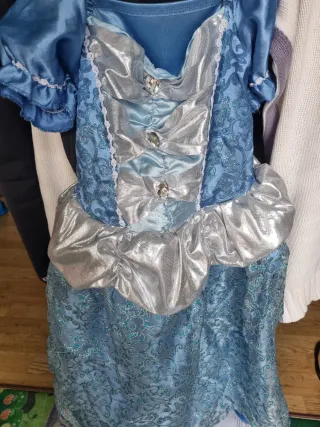 Disfraz Princesa Azul y Plateado