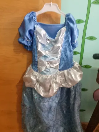 Disfraz Princesa Azul y Plateado