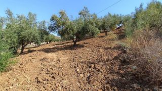 Casa rural en venta en Comares