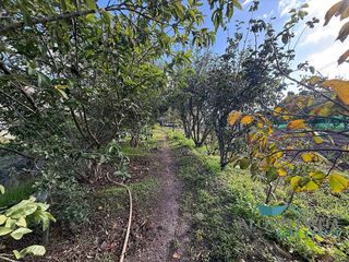 Terreno en venta en El Horno en Mogán