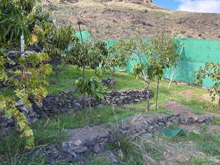 Terreno en venta en El Horno en Mogán