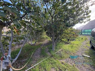 Terreno en venta en El Horno en Mogán