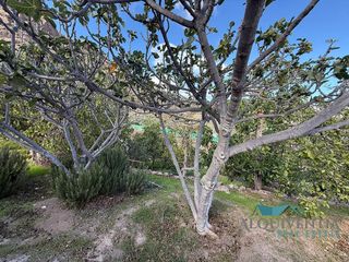 Terreno en venta en El Horno en Mogán