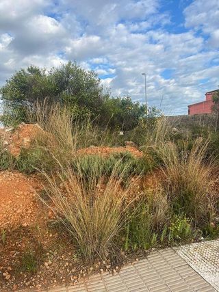 Terreno en venta en Betxí