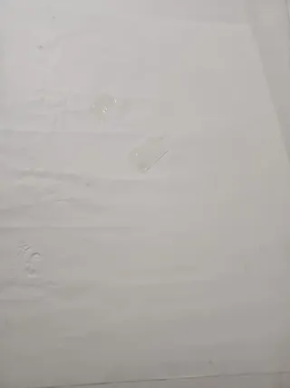 Lámina Disney 25 Aniversario Walt Disney World