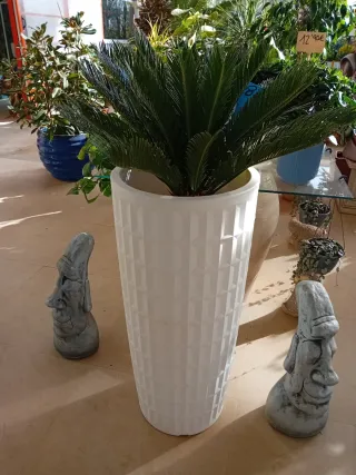 Maceteros Nora -  Blanco