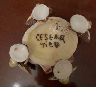 Scultura con conchiglie e carte da gioco