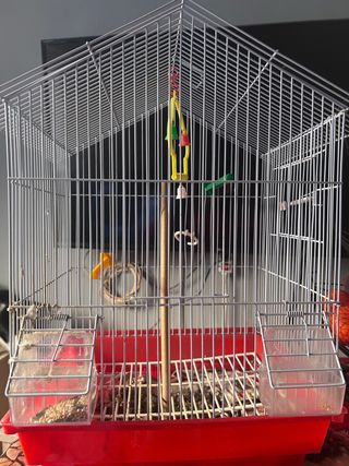 Jaula para pájaros plateada y roja