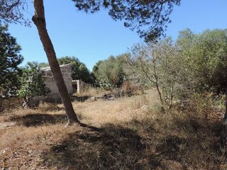 Casa rural en venta en Sant Climent-Es Canutells en Mahón