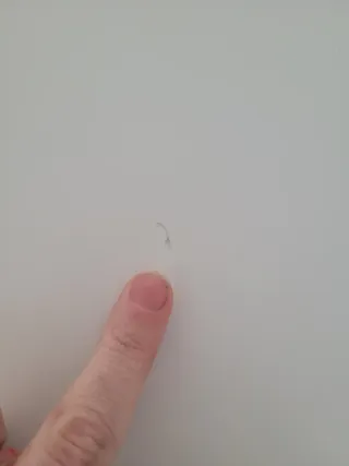 Mesa redonda blanca satén 120 cm