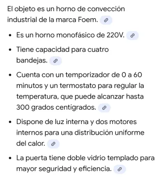 Horno profesional Foem restaurante.