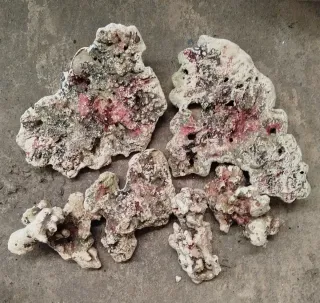 Rocas artificiales para acuario marino