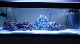 Rocas artificiales para acuario marino