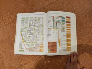 Anatomia Estructura y Morfologia del cuerpo humano