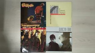 Lote 25 disco vinilo