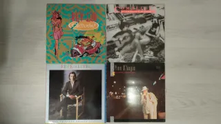 Lote 25 disco vinilo