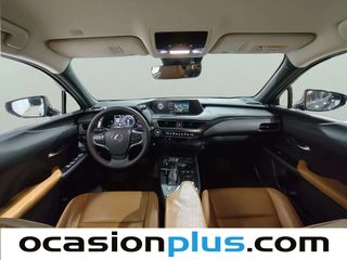 Lexus UX 250h Executive Navigation 135 kW (184 CV)