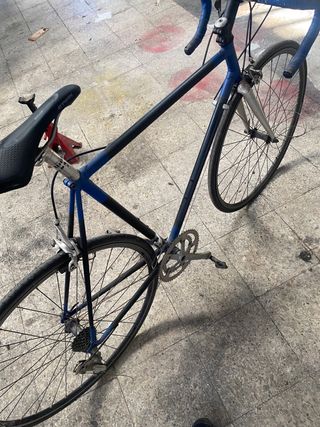 Proyecto Pinarello sin terminar