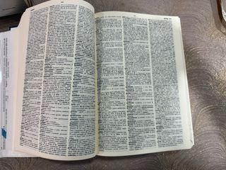 Italian Nuovo Zanichelli Dictionary