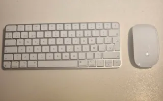 Teclado y ratón inalambrico apple