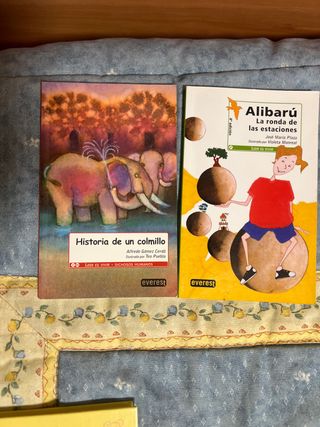 Lote 2 libros infantiles Everest